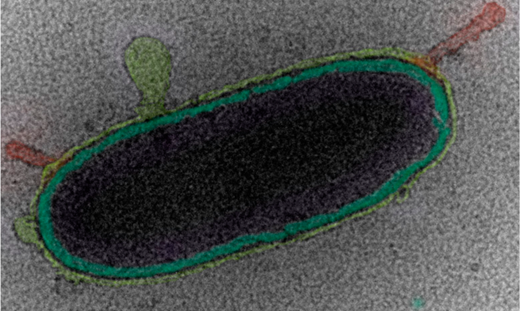 Publication 1 Thumbnail
