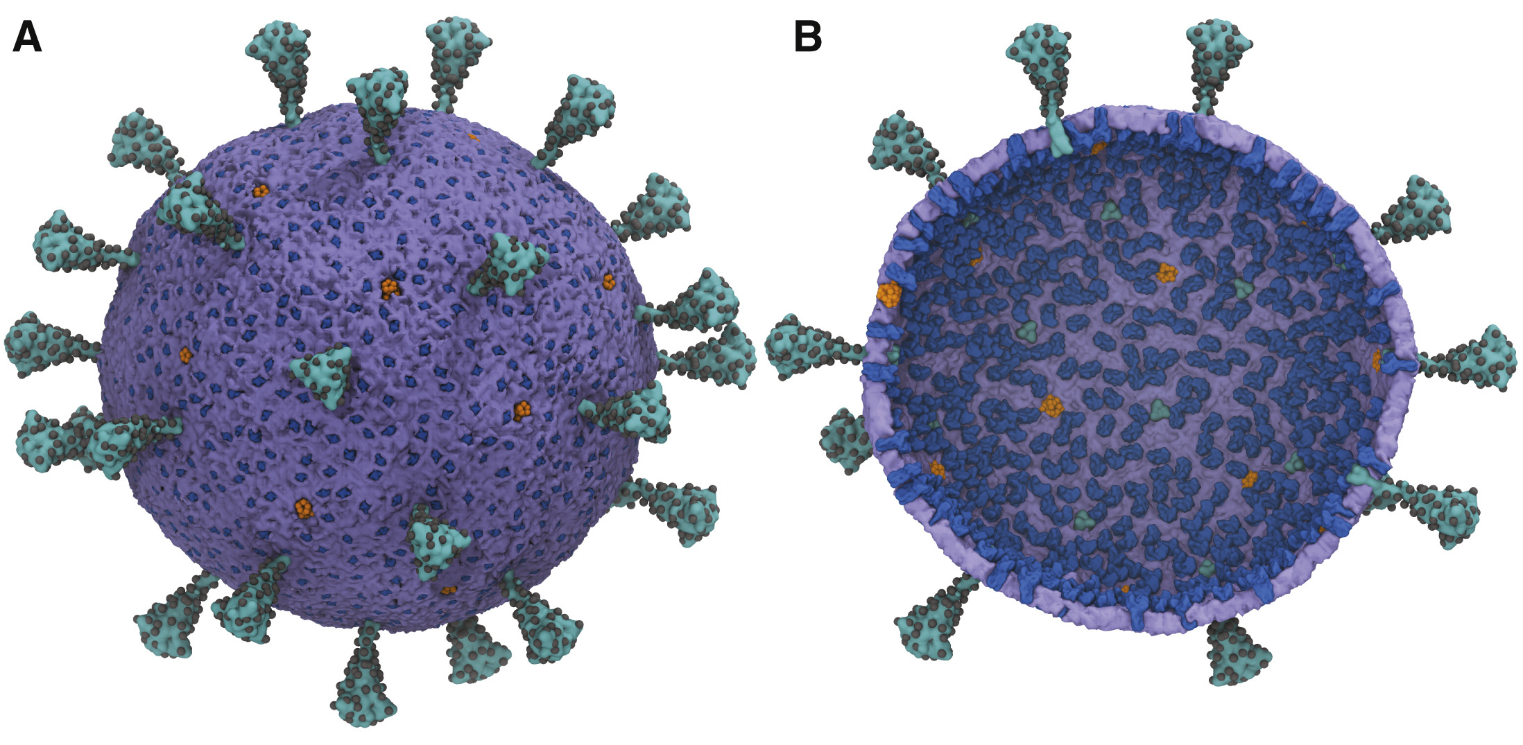 Publication 10 Thumbnail