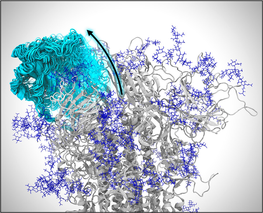 Publication 11 Thumbnail