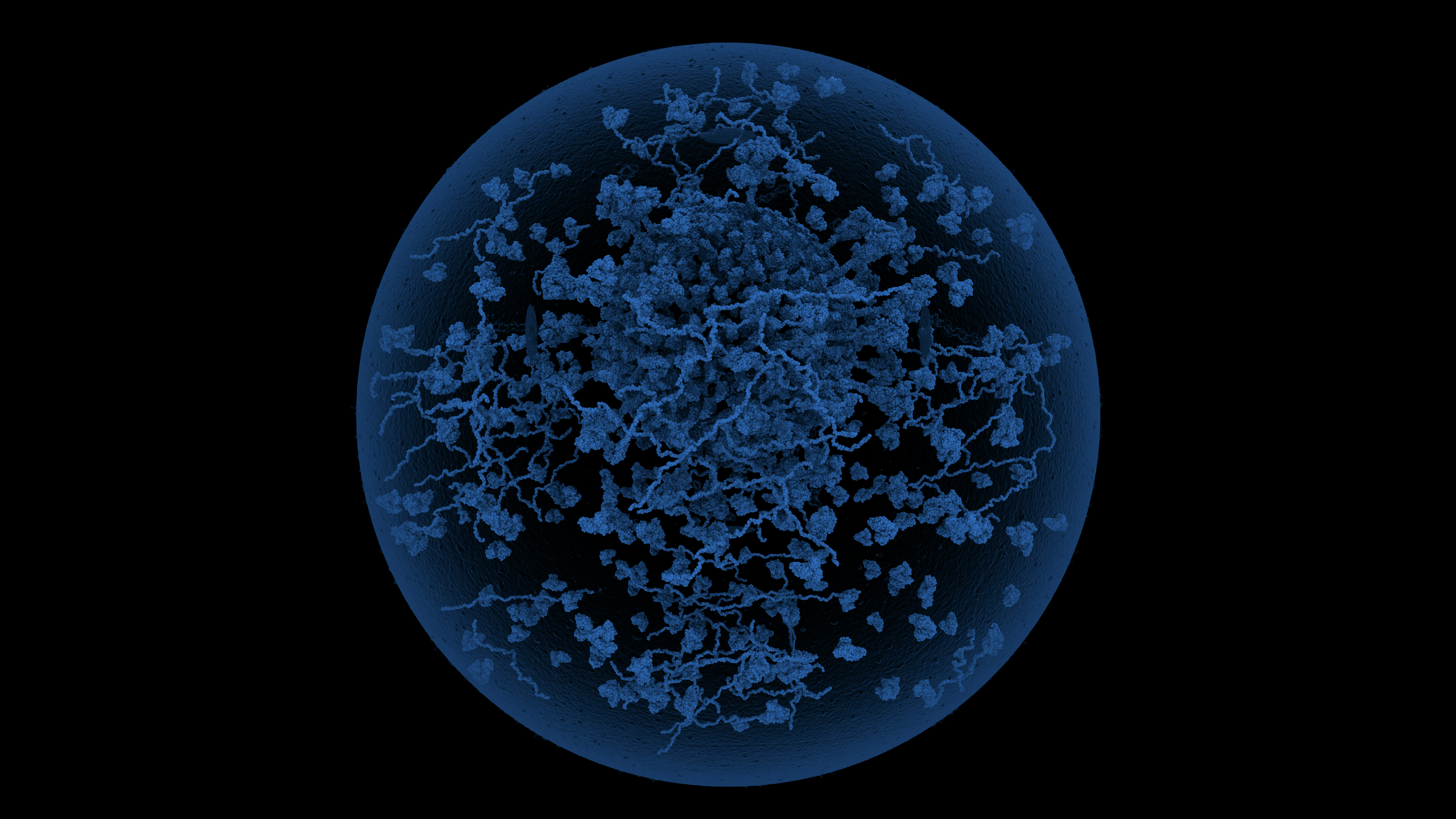 Publication 15 Thumbnail