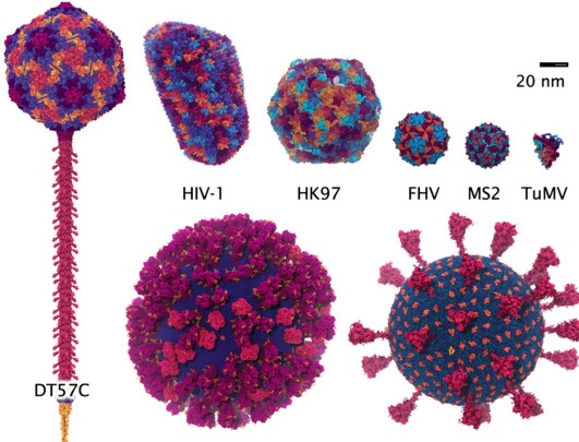 Publication 18 Thumbnail