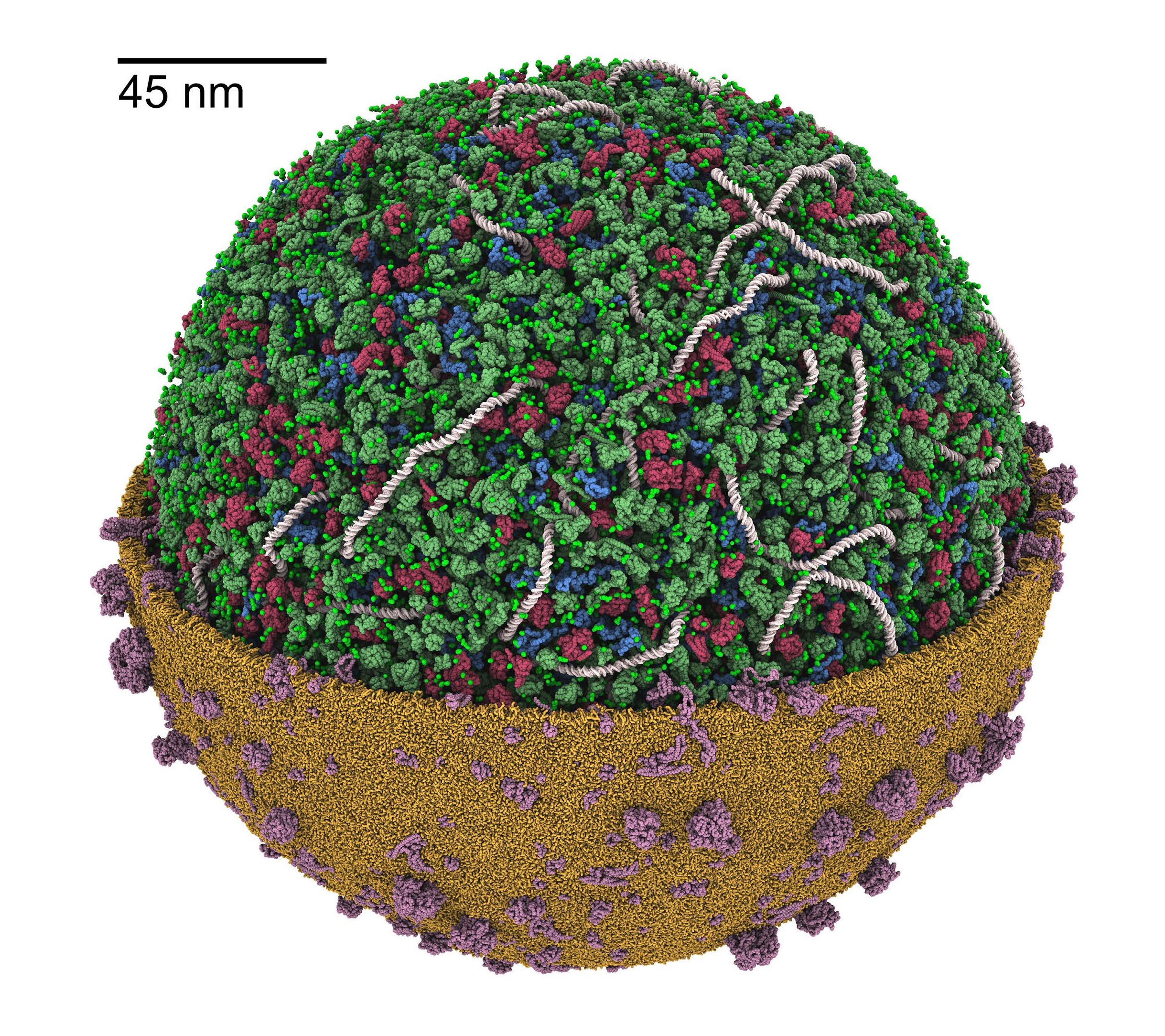 Publication 20 Thumbnail