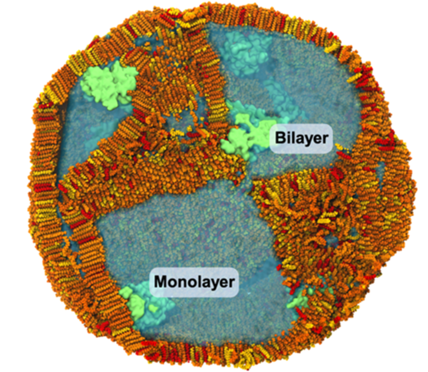 Publication 21 Thumbnail