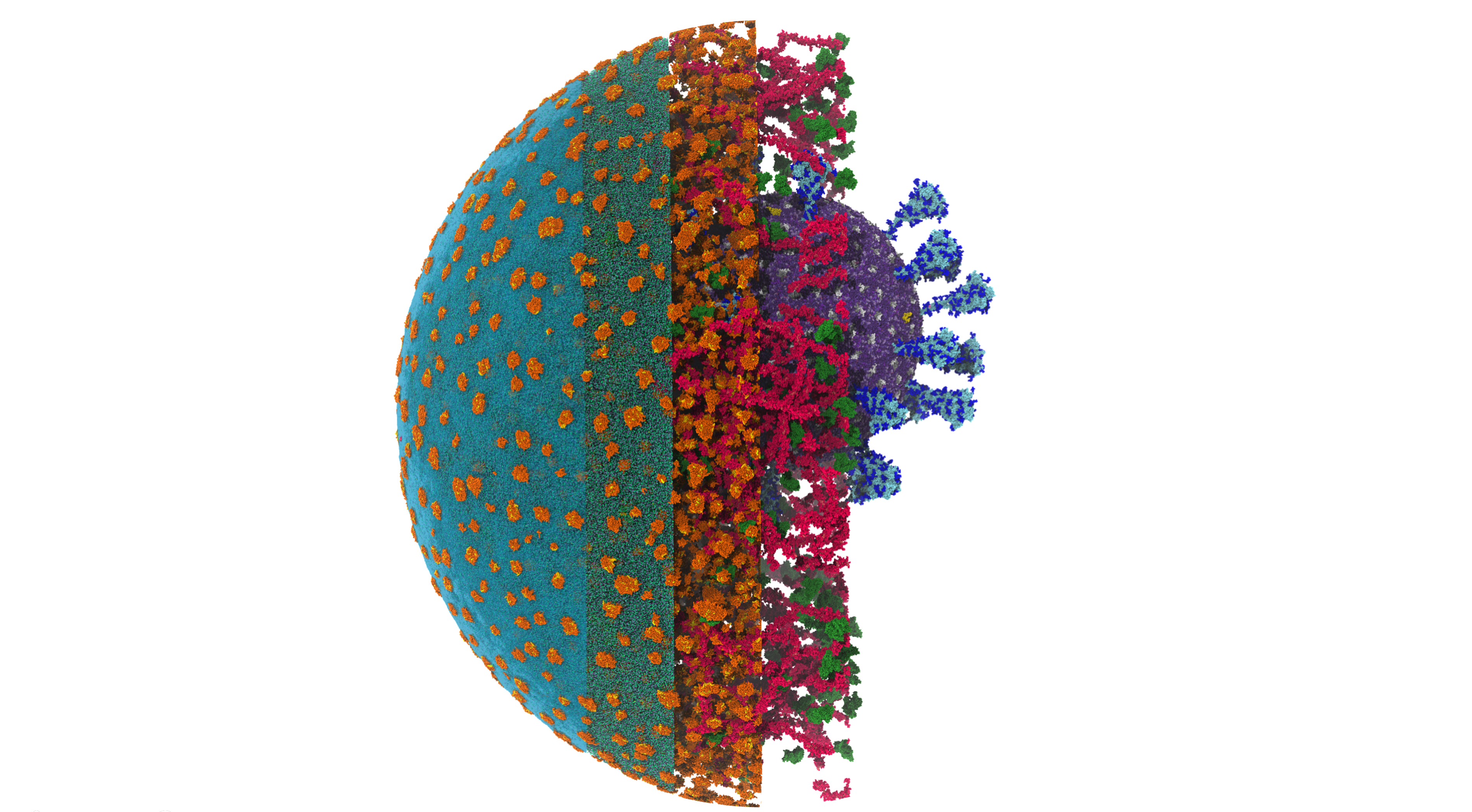 Publication 22 Thumbnail