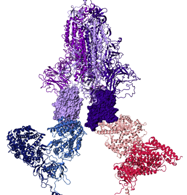 Publication 9 Thumbnail
